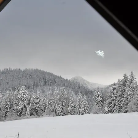 U Bliźniaków * Zakopane
